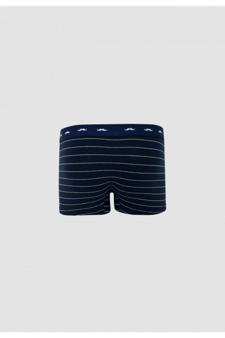 Heron Calzoncillo Rayas -...