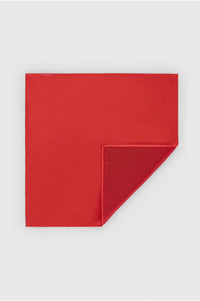 ROJO- BERENJENA